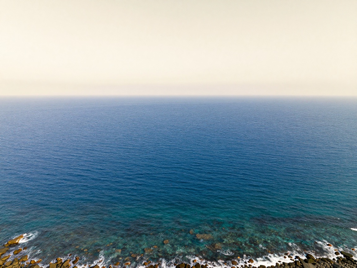 Seen from high on the shore, turquoise water over coastal rocks gives way to a wide expanse of deep blue open sea.